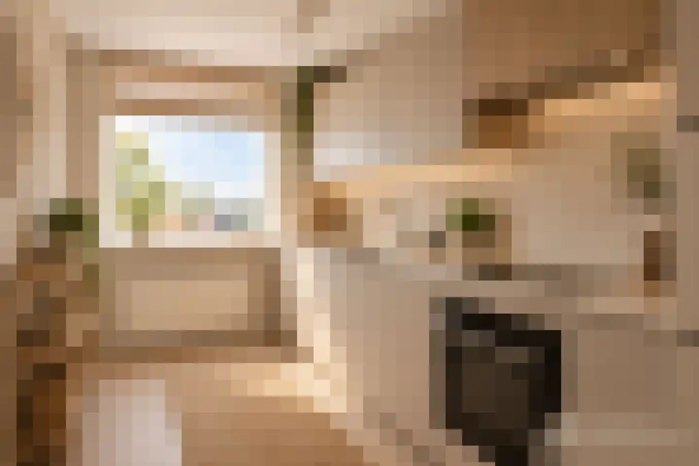 Hazepad 59 Zaandam thumbnail 19