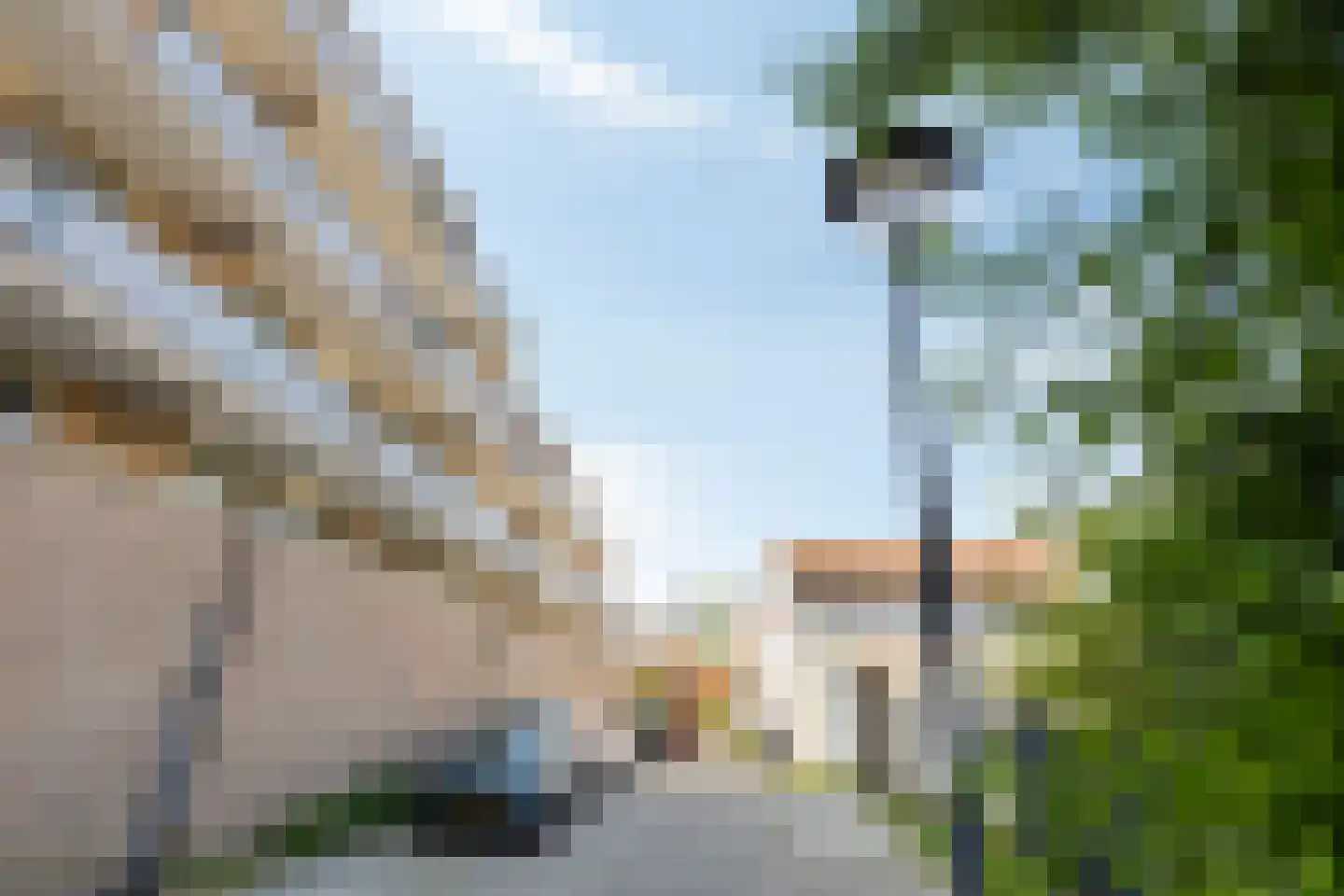 Hazepad 59 Zaandam thumbnail 38