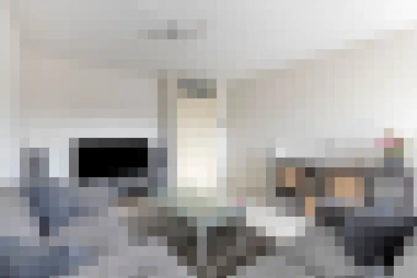 Hazepad 59 Zaandam thumbnail 6