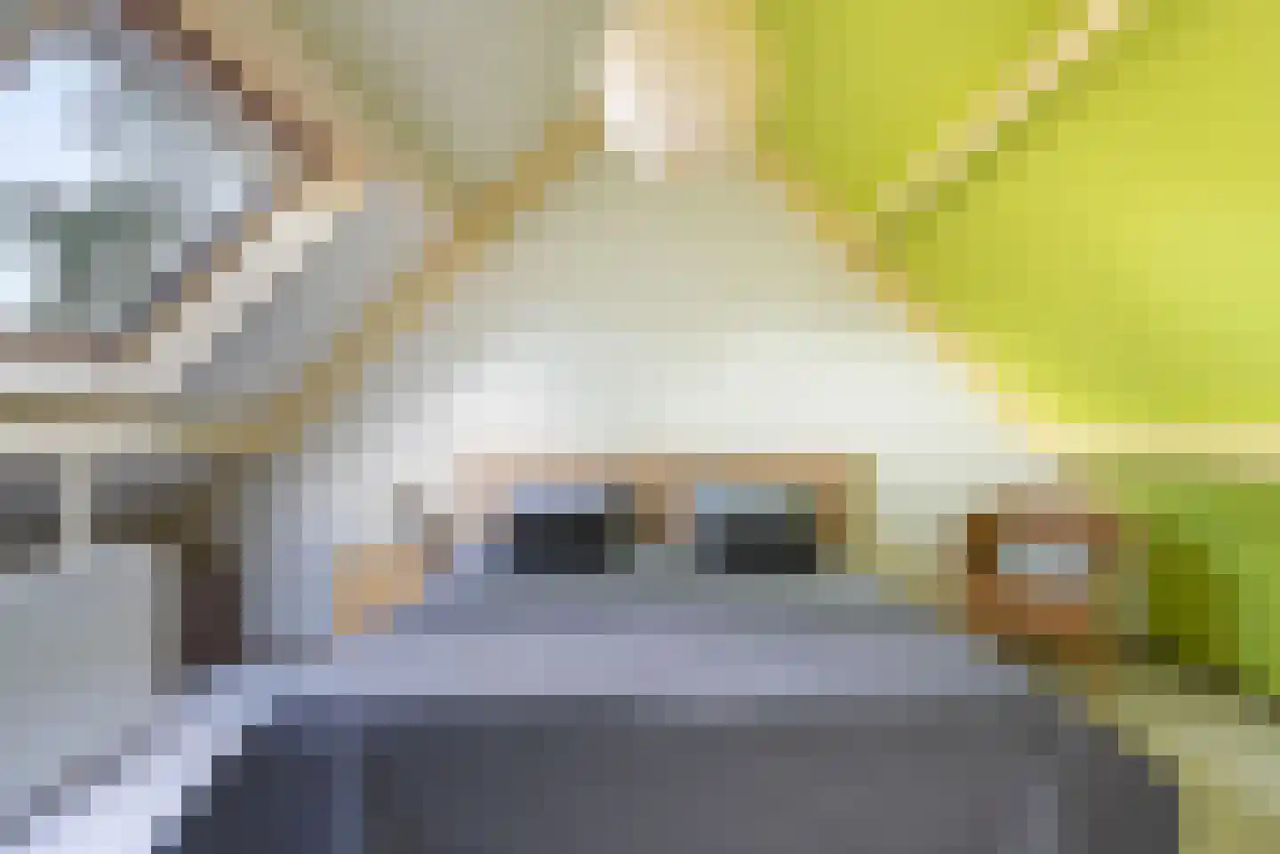 Hazepad 92 Soest thumbnail 15