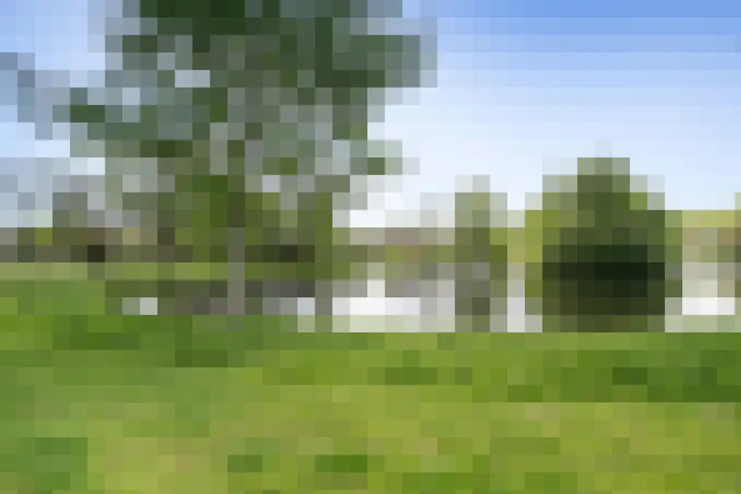 Hazepad 92 Soest thumbnail 23
