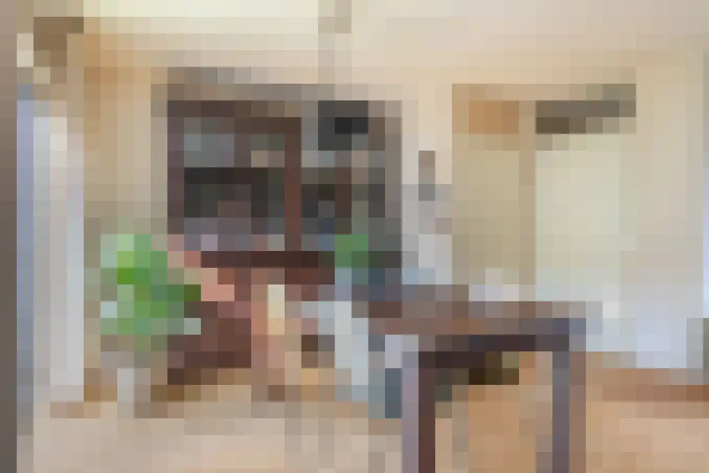 Hazepad 92 Soest thumbnail 4