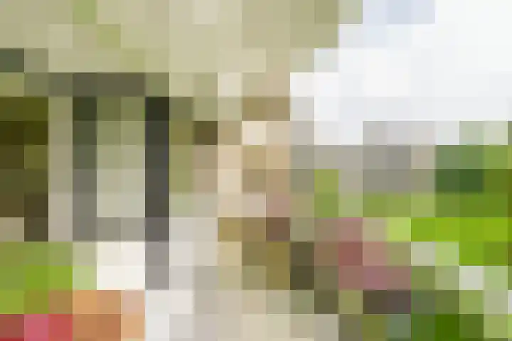 Hazepaterslaan 150 Haarlem thumbnail 13