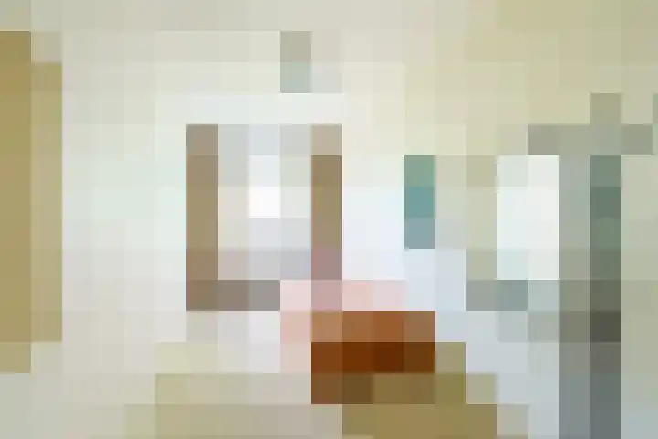 Hazepaterslaan 150 Haarlem thumbnail 24
