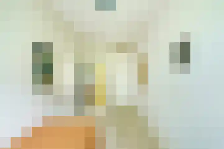 Hazepaterslaan 150 Haarlem thumbnail 25