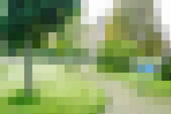 Hazepaterslaan 150 Haarlem thumbnail 26