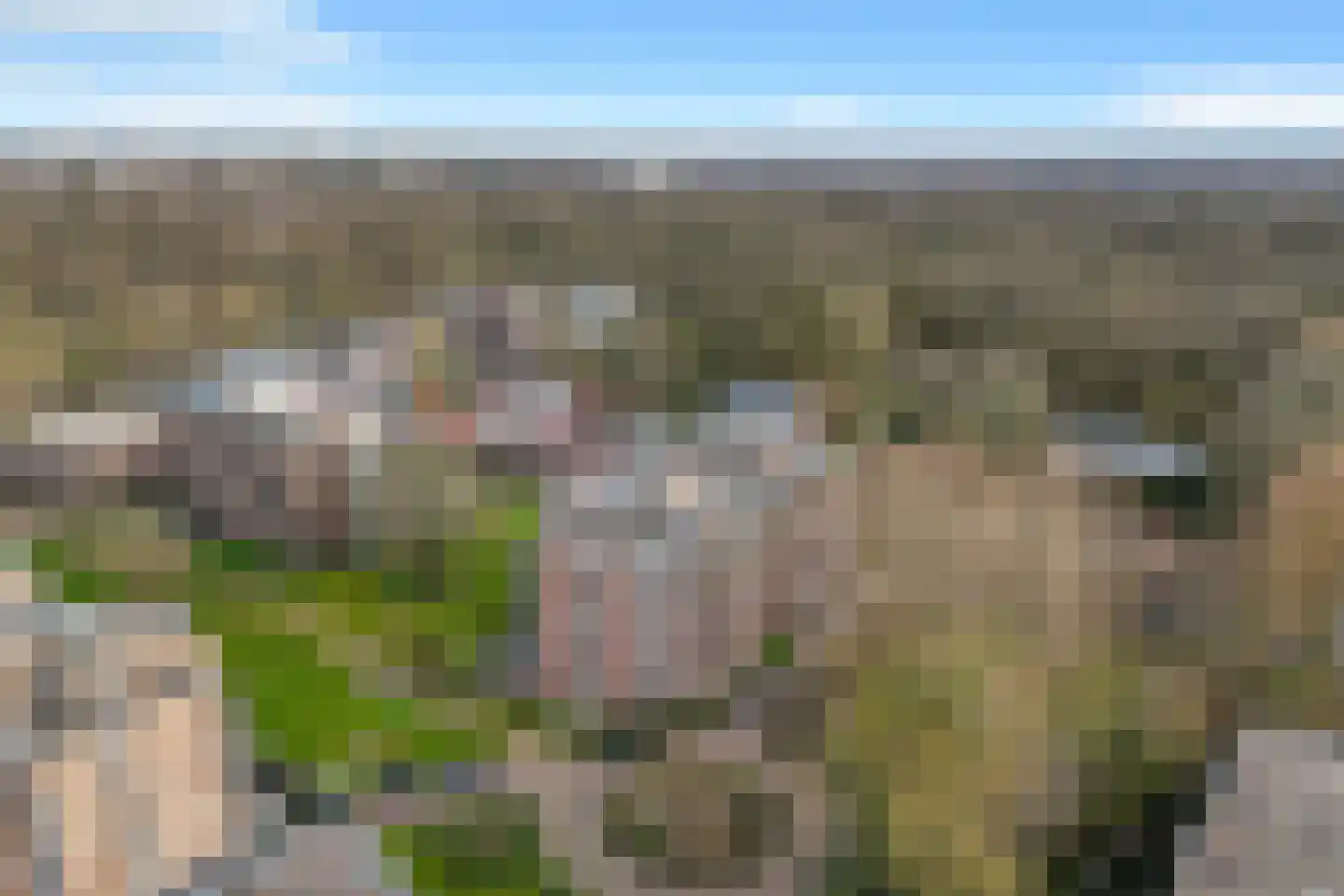 Hazepaterslaan 164 Haarlem