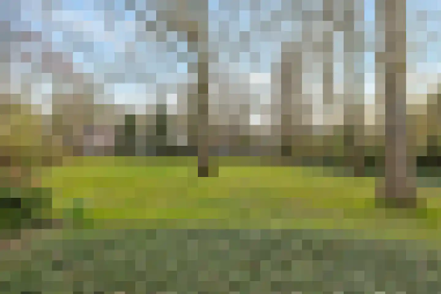 Hazepaterslaan 164 Haarlem thumbnail 17
