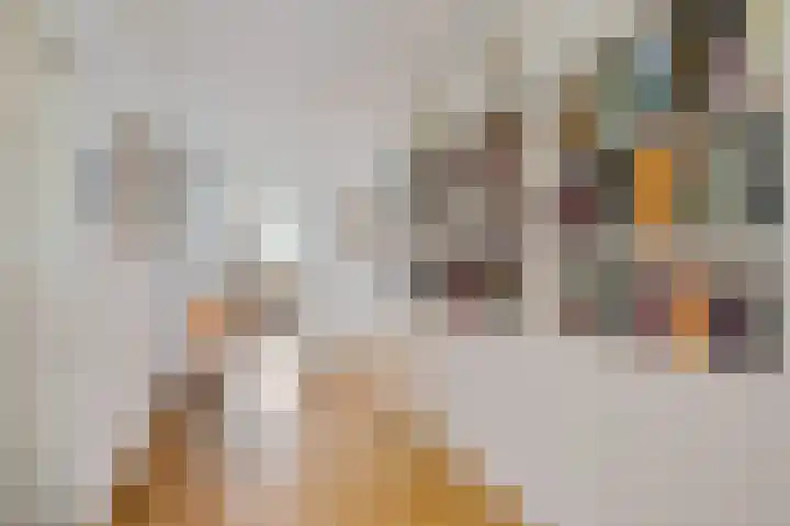Hazepaterslaan 256 Haarlem thumbnail 10