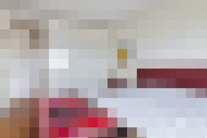 Hazepaterslaan 256 Haarlem thumbnail 20