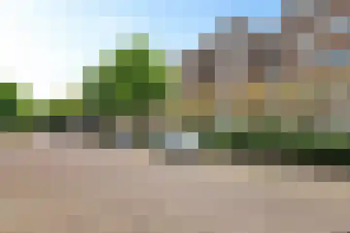 Hazepaterslaan 256 Haarlem thumbnail 40