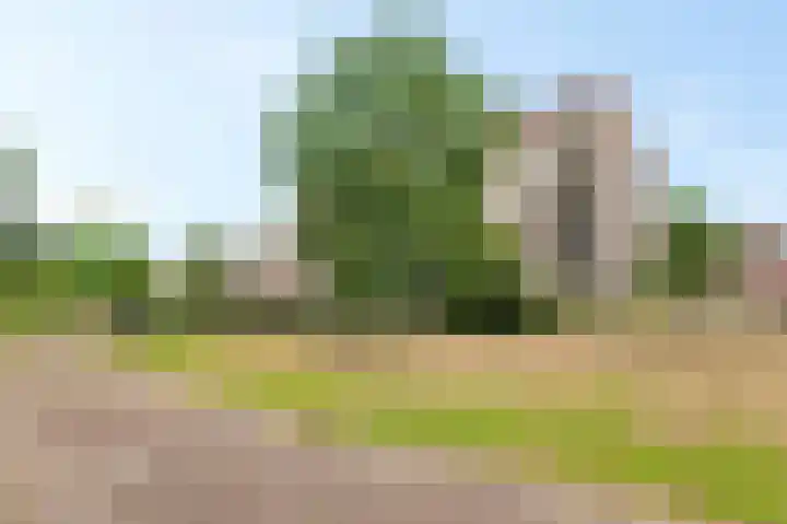 Hazepaterslaan 256 Haarlem thumbnail 42