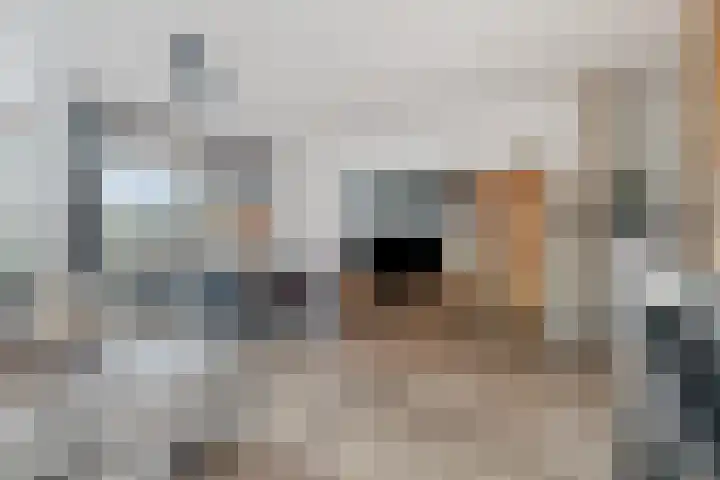 Hazepaterslaan 258 Haarlem thumbnail 10