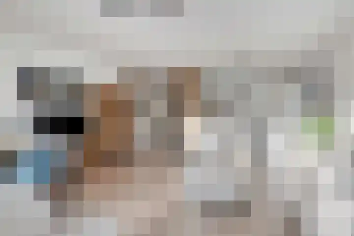 Hazepaterslaan 258 Haarlem thumbnail 11