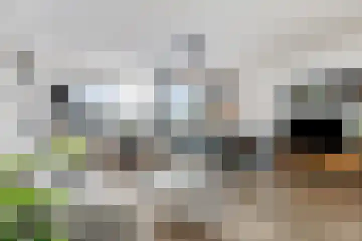 Hazepaterslaan 258 Haarlem thumbnail 12