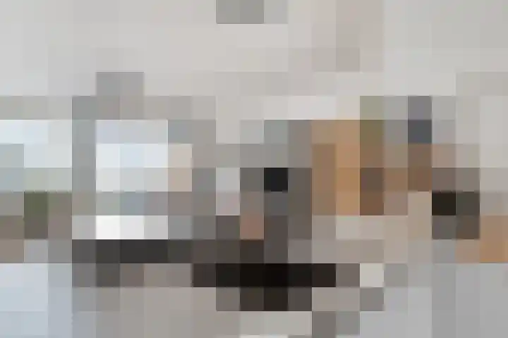Hazepaterslaan 258 Haarlem thumbnail 16