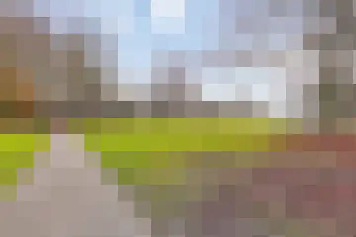 Hazepaterslaan 258 Haarlem thumbnail 28