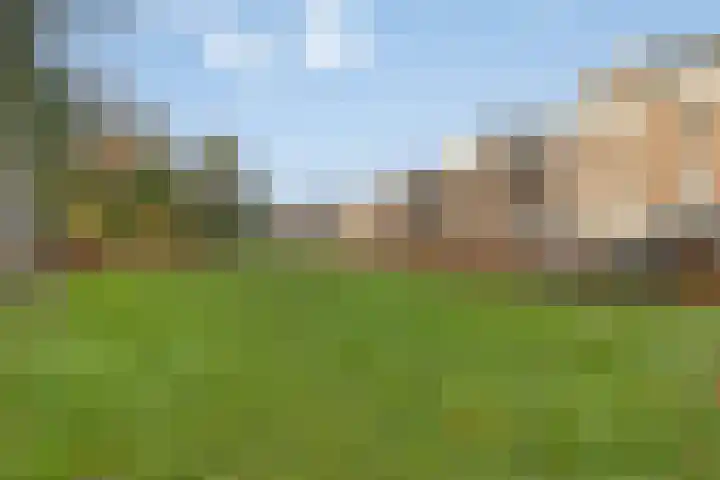 Hazepaterslaan 258 Haarlem thumbnail 29
