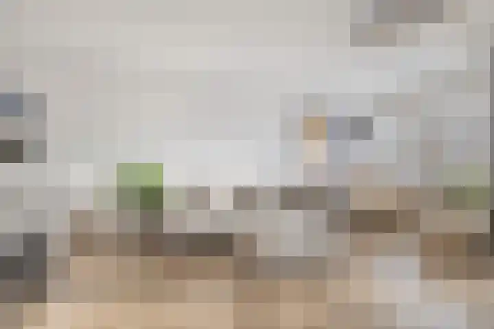Hazepaterslaan 258 Haarlem thumbnail 9