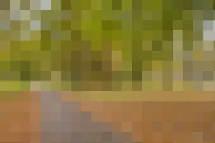 Hazepaterslaan 28 0012 Haarlem thumbnail 35