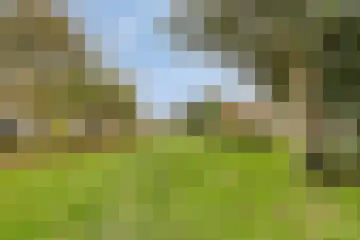 Hazepaterslaan 28 0012 Haarlem thumbnail 36