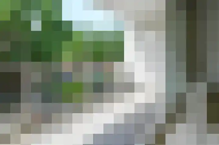 Hazepaterslaan 28 0019 Haarlem thumbnail 11