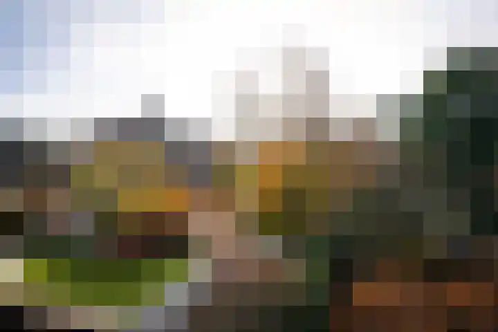 Hazepaterslaan 28 0019 Haarlem thumbnail 13