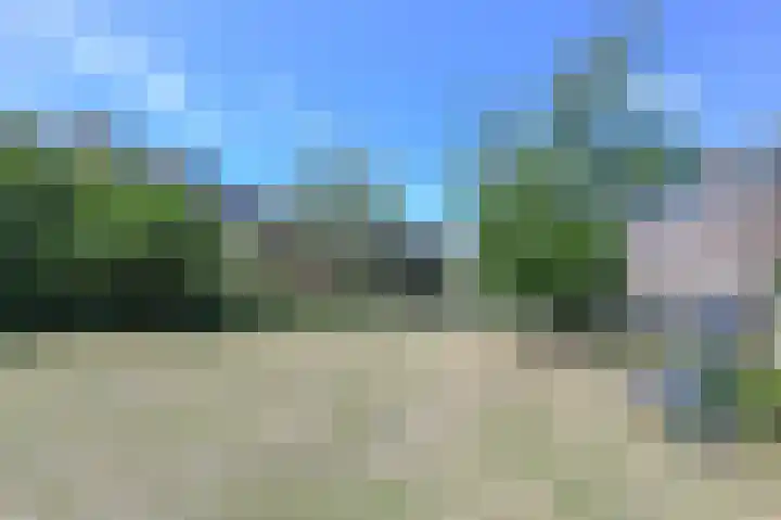 Hazepaterslaan 28 0019 Haarlem thumbnail 26