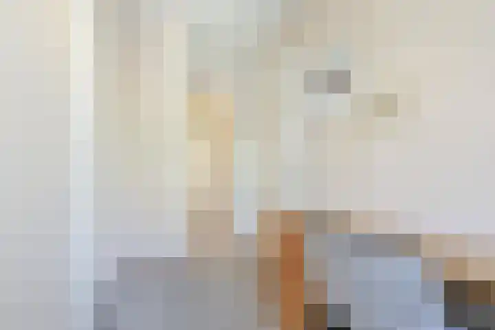 Hazepaterslaan 28 0019 Haarlem thumbnail 27