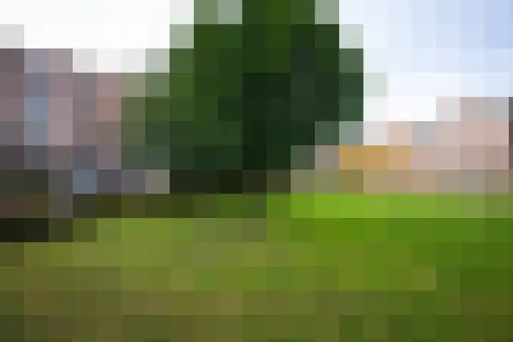 Hazepaterslaan 28 0019 Haarlem thumbnail 32