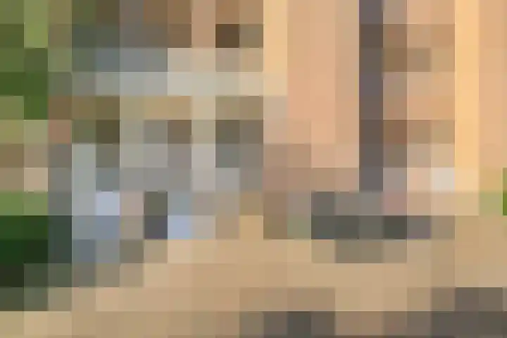 Hazepaterslaan 28 0019 Haarlem thumbnail 32