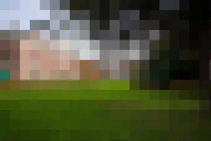Hazepaterslaan 28 0019 Haarlem thumbnail 33