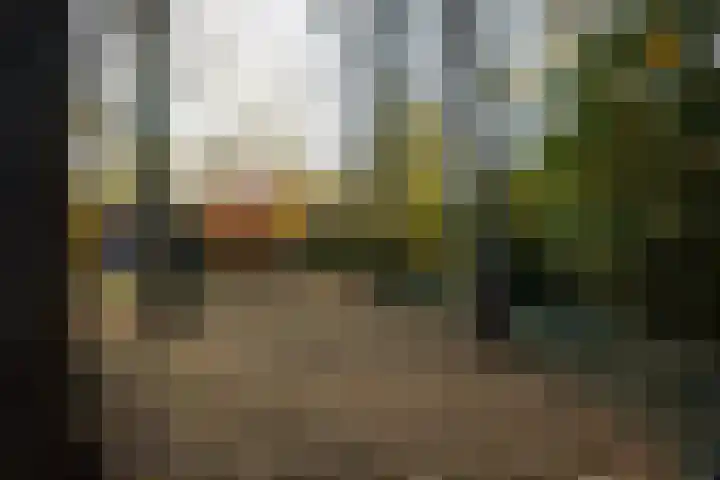 Hazepaterslaan 28 0019 Haarlem thumbnail 35