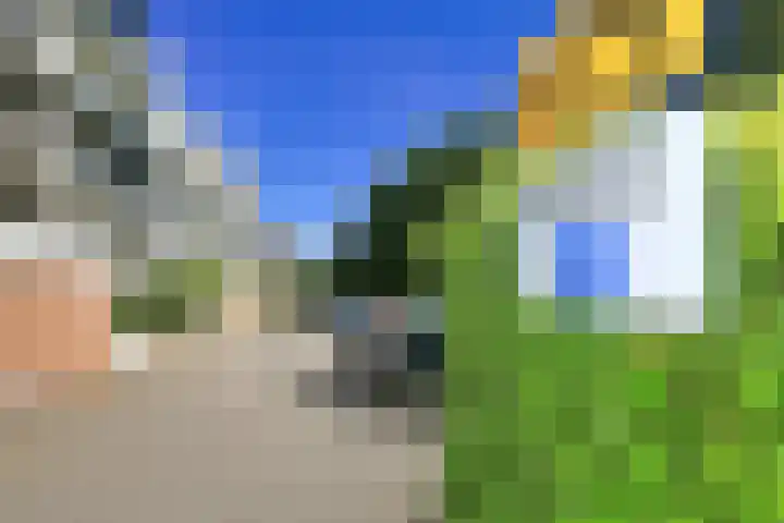 Hazepaterslaan 28 0019 Haarlem thumbnail 36