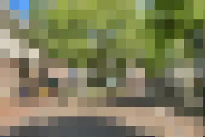Hazepaterslaan 28 0019 Haarlem thumbnail 41