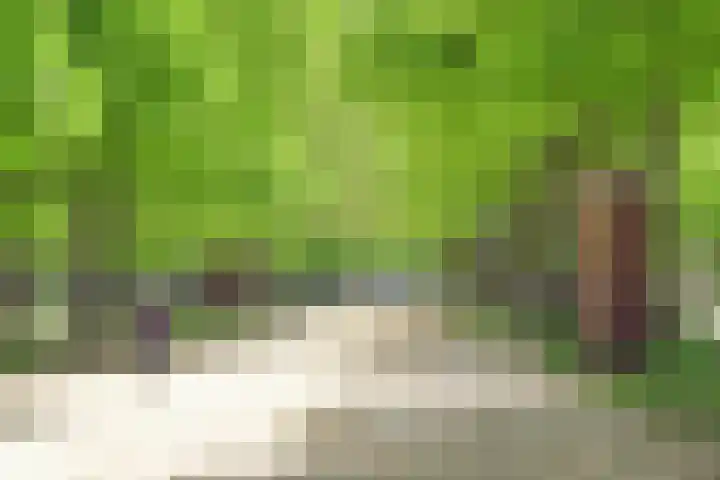 Hazepaterslaan 28 0019 Haarlem thumbnail 43