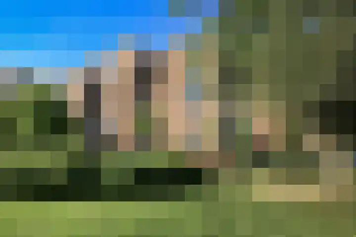 Hazepaterslaan 28 0019 Haarlem thumbnail 46