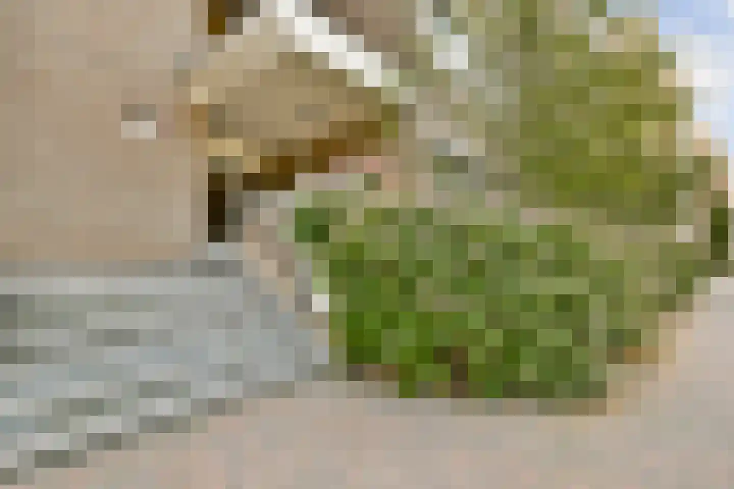 Hazepaterslaan 34 Haarlem thumbnail 6