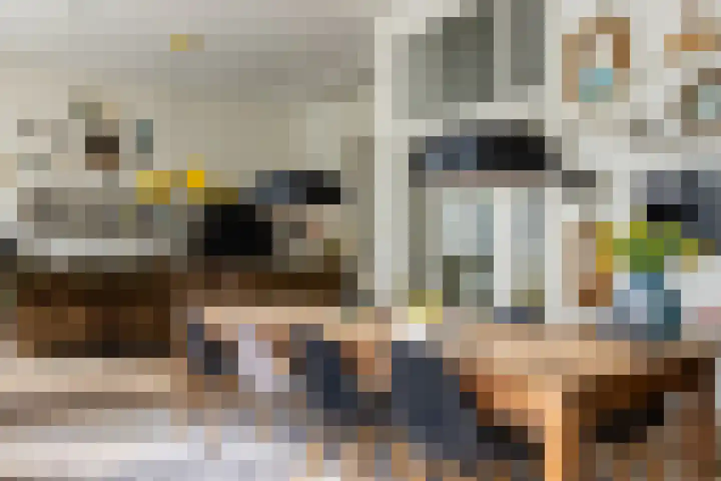 Hazepaterslaan 8 Haarlem thumbnail 18