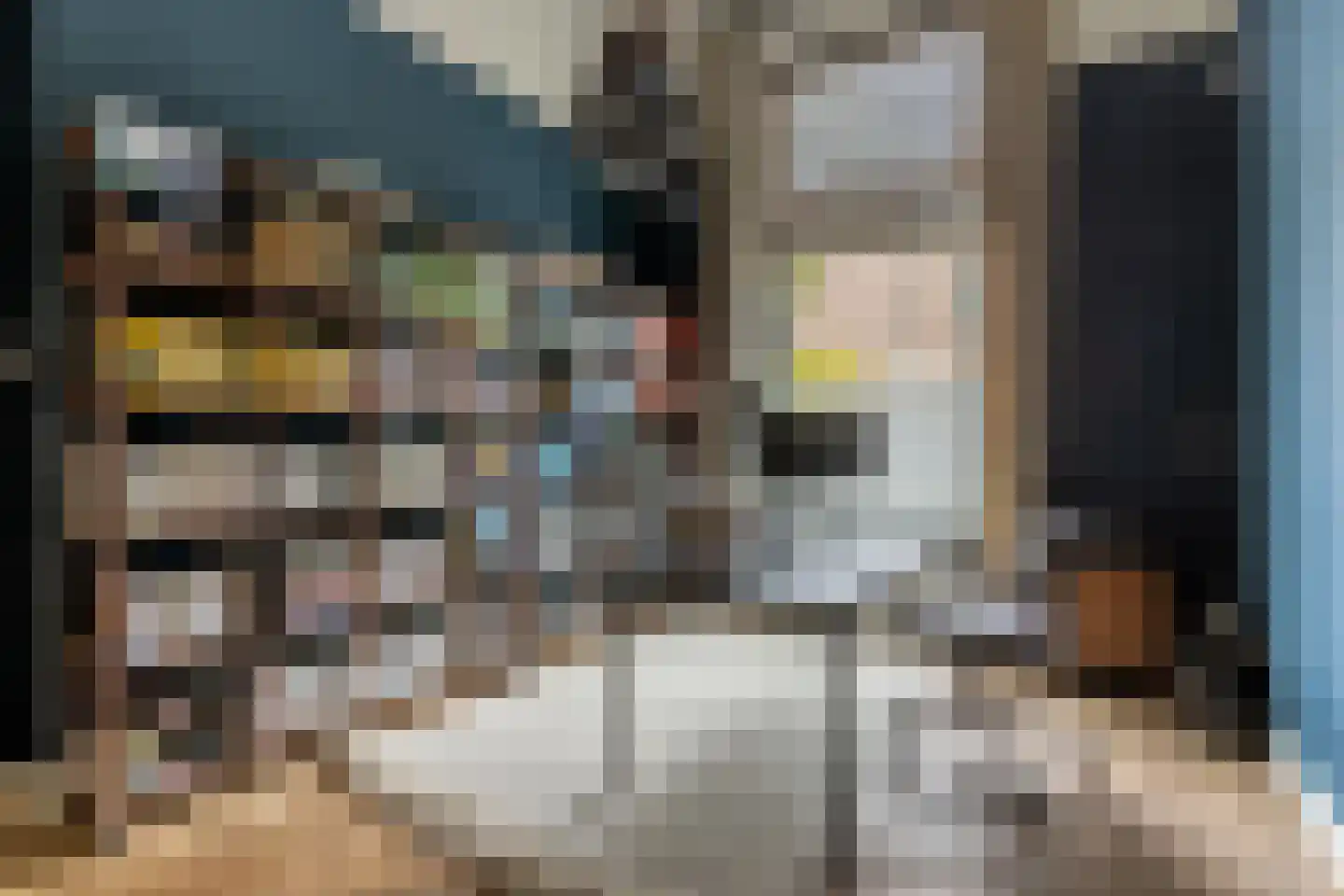Hazepaterslaan 8 Haarlem thumbnail 22