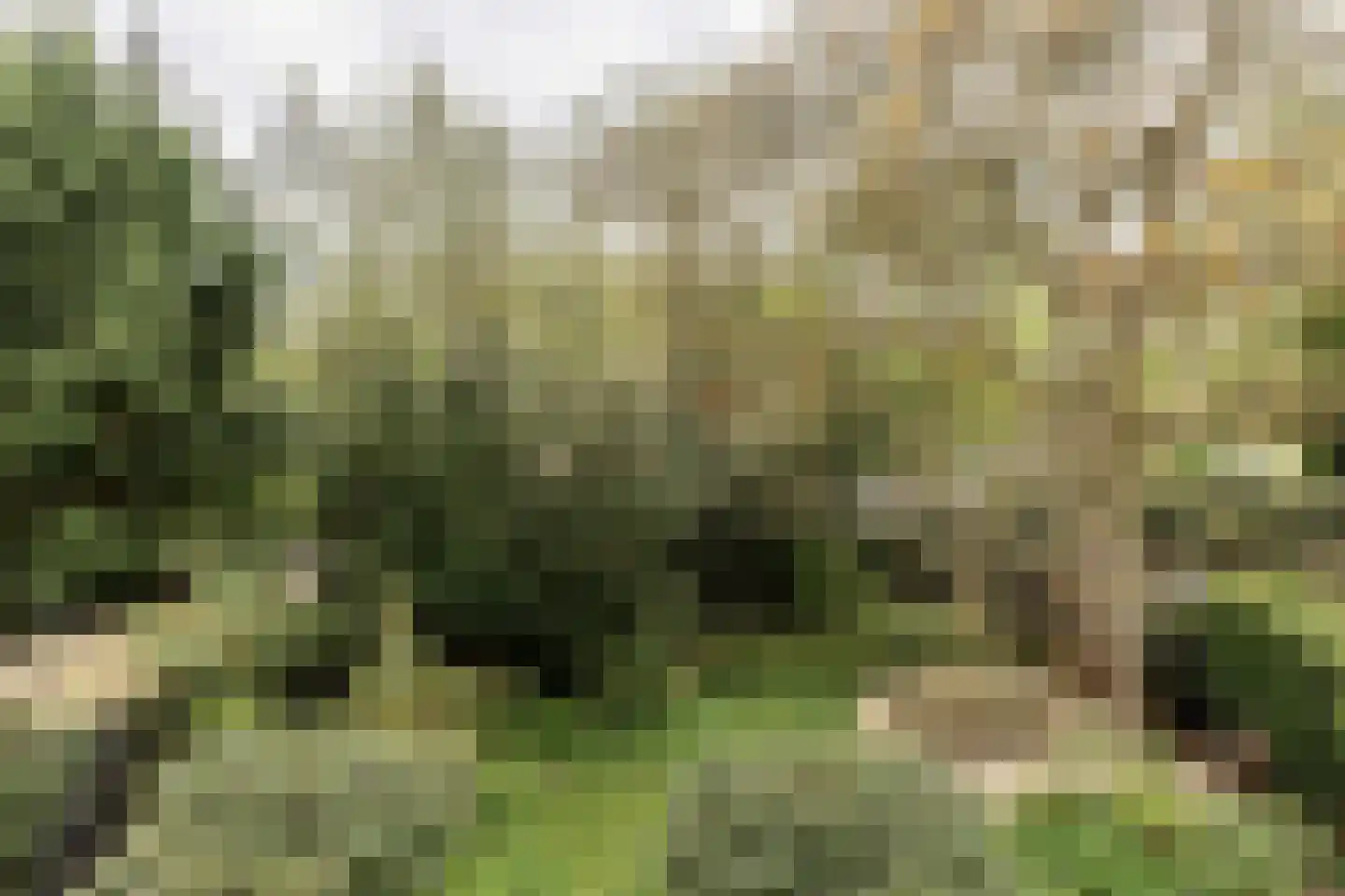 Hazepaterslaan 8 Haarlem thumbnail 49