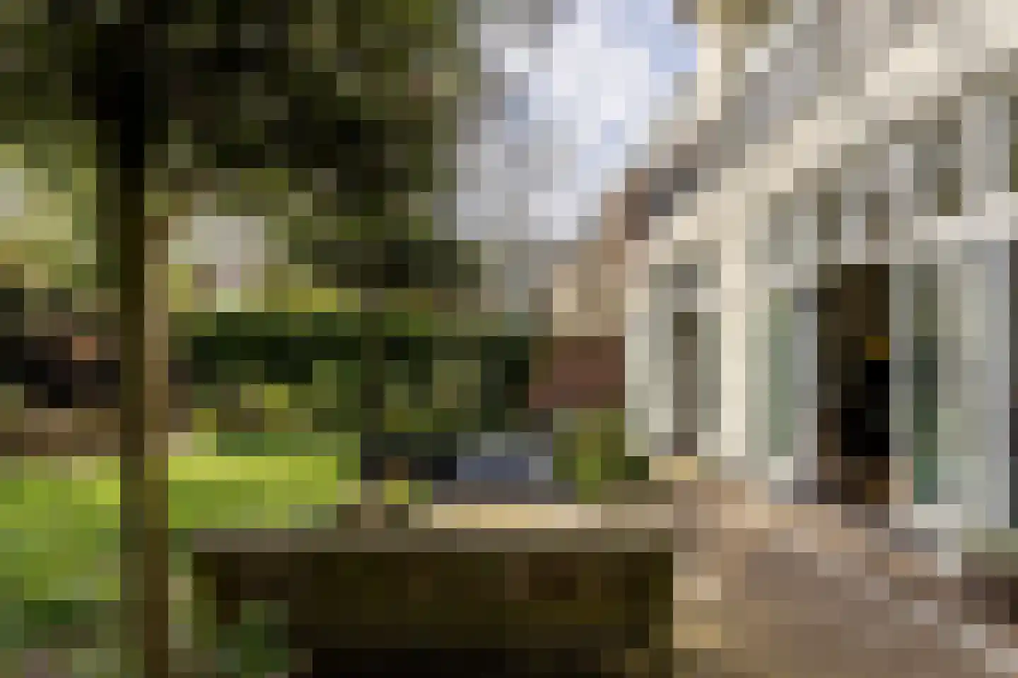 Hazepaterslaan 8 Haarlem thumbnail 50