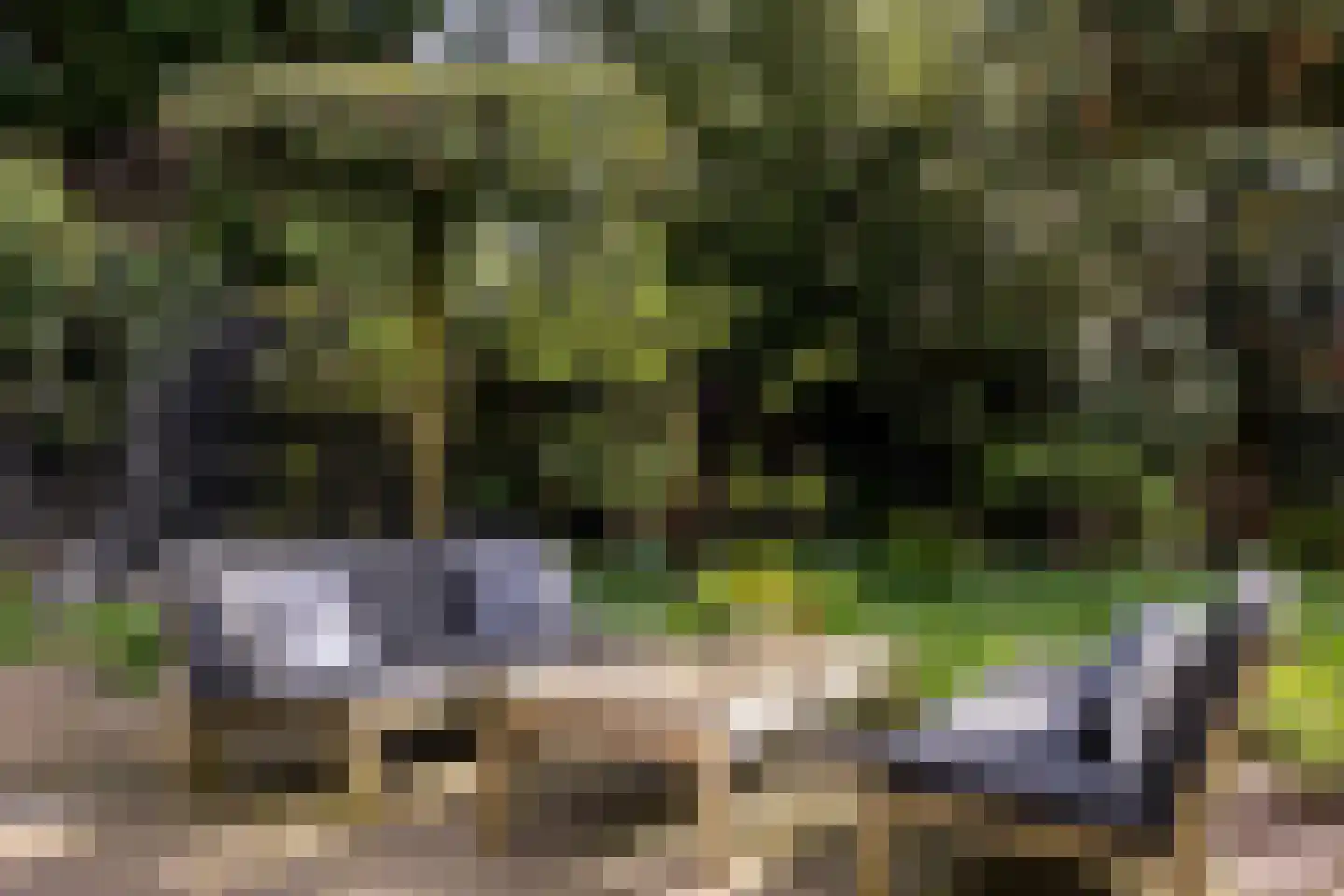 Hazepaterslaan 8 Haarlem thumbnail 51