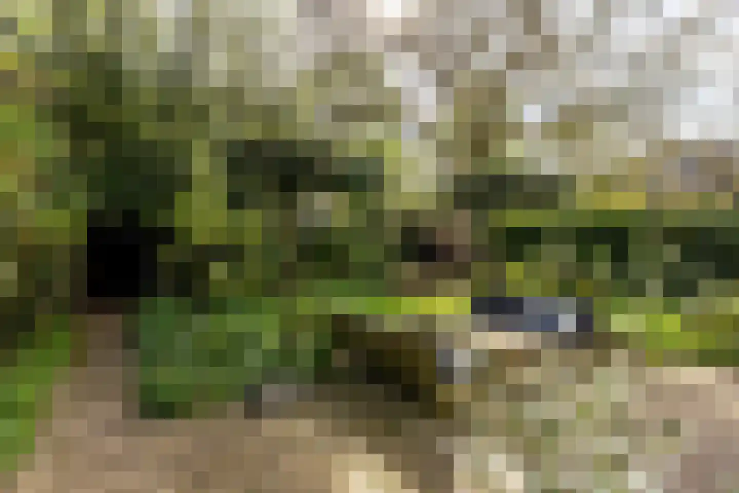 Hazepaterslaan 8 Haarlem thumbnail 53