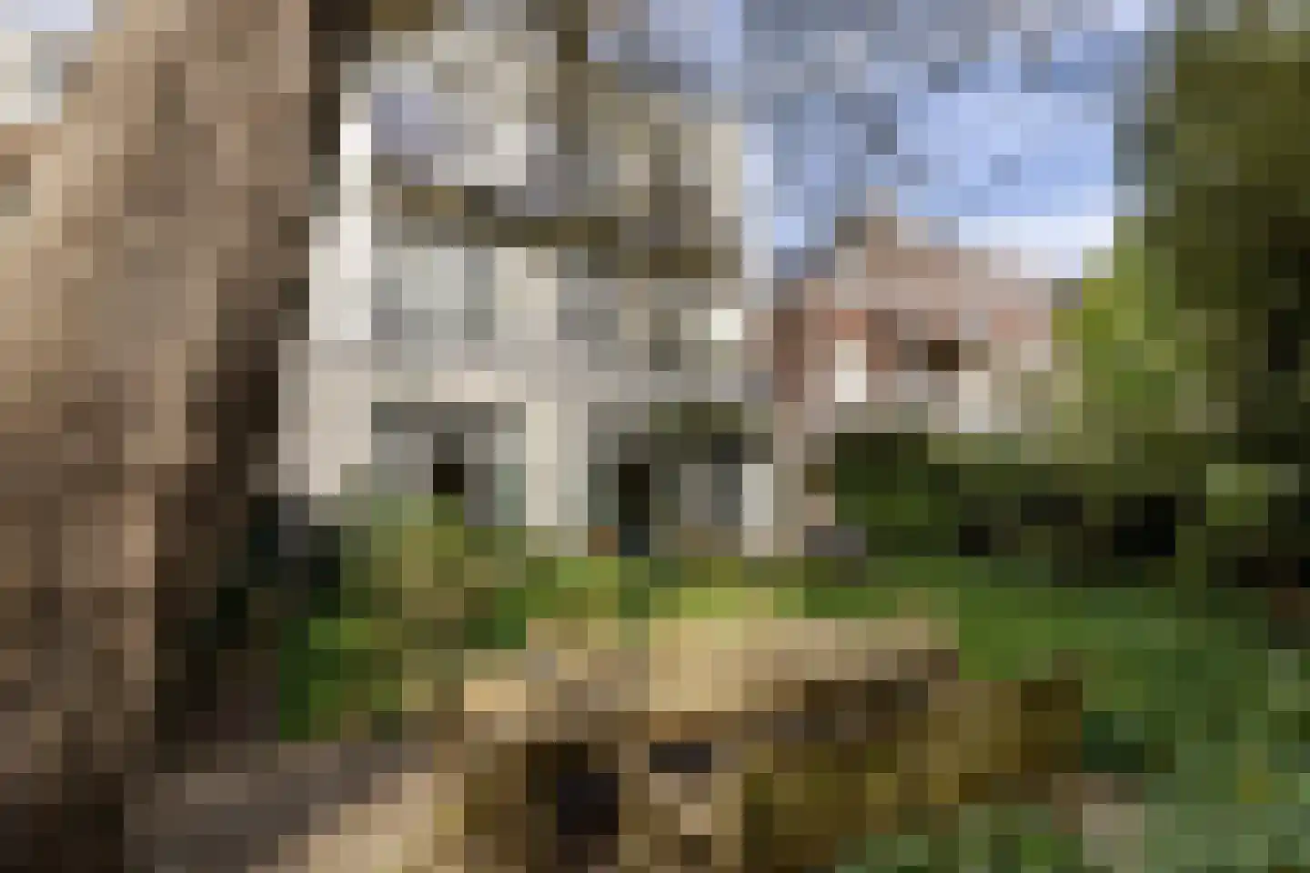 Hazepaterslaan 8 Haarlem thumbnail 54