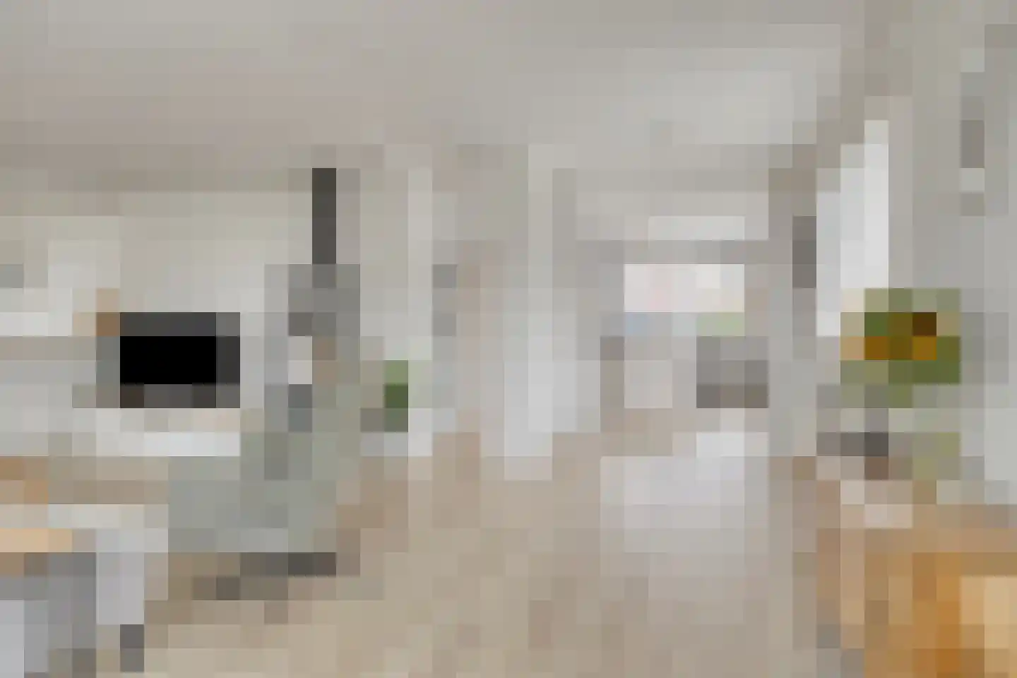 Hazershil 9 Steenbergen thumbnail 14