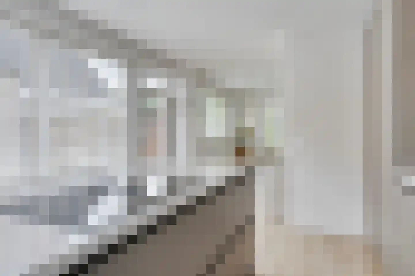 Hazershil 9 Steenbergen thumbnail 23