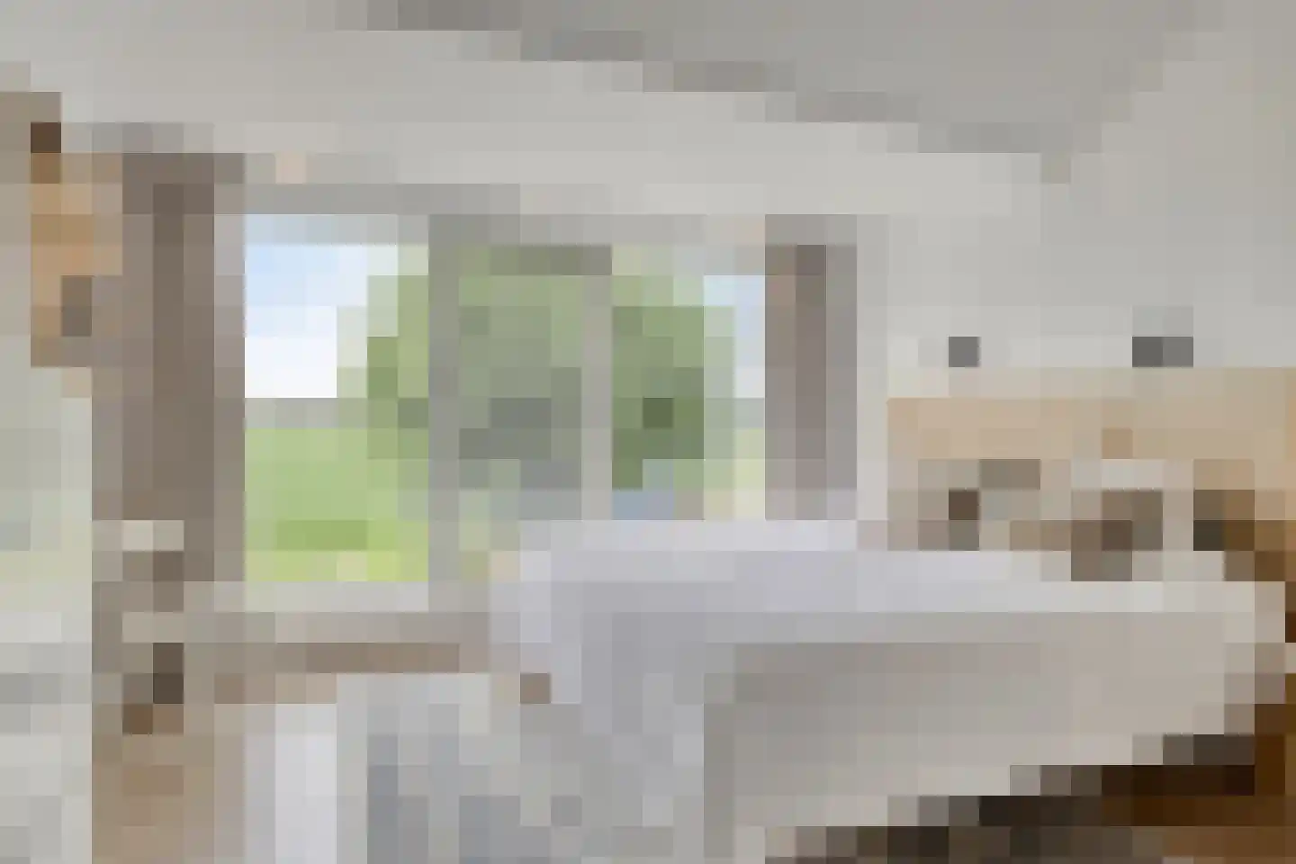 Hazershil 9 Steenbergen thumbnail 34
