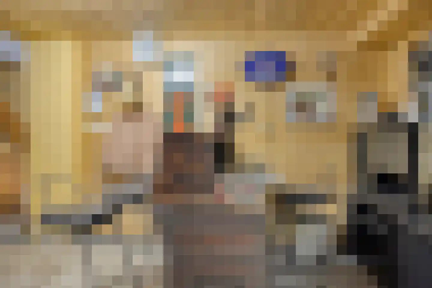 Hazershil 9 Steenbergen thumbnail 55