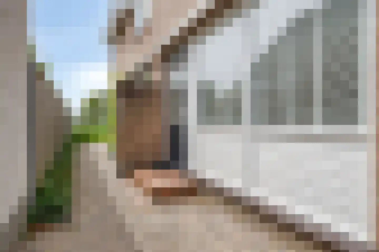 Hazershil 9 Steenbergen thumbnail 65